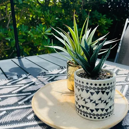 דירה Cosy Balneo Et Terrasse